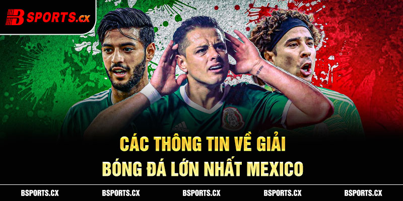 Các thông tin về giải bóng đá lớn nhất Mexico