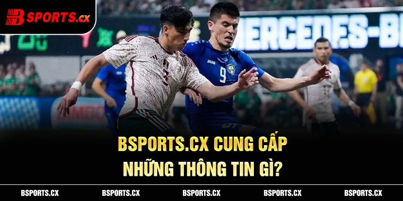 Bsports.cx cung cấp những thông tin gì?